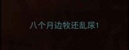 八个月边牧还乱尿
