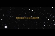 狗狗疫苗可以放冰箱里吗