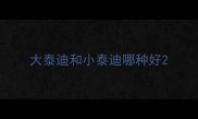 大泰迪和小泰迪哪种好