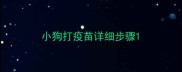 小狗打疫苗详细步骤