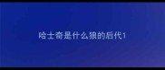 哈士奇是什么狼的后代