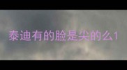 泰迪有的脸是尖的么
