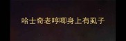 哈士奇老哼唧身上有虱子