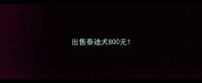 出售泰迪犬800元