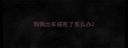 狗狗出车祸死了怎么办
