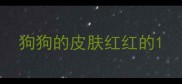 狗狗的皮肤红红的