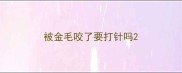 被金毛咬了要打针吗