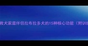 导盲犬搜救犬家庭伴侣拉布拉多犬的15种核心功能附训练指南