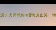 两个月哈士奇狂叫不止资深训犬师教你3招快速止哭幼犬分离焦虑护眼训练全攻略