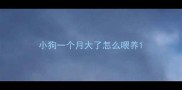 小狗一个月大了怎么喂养