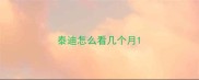 泰迪怎么看几个月