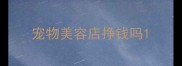 宠物美容店挣钱吗