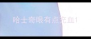 哈士奇眼有点充血