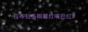 拉布拉多眼眶红嘴巴红
