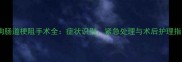 小狗肠道梗阻手术全症状识别紧急处理与术后护理指南
