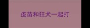 疫苗和狂犬一起打