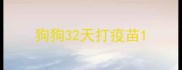 狗狗32天打疫苗