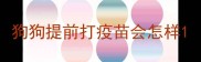 狗狗提前打疫苗会怎样