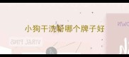小狗干洗粉哪个牌子好