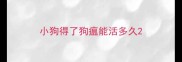 小狗得了狗瘟能活多久
