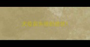 犬疫苗失败的症状