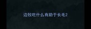 边牧吃什么有助于长毛