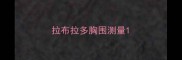 拉布拉多胸围测量