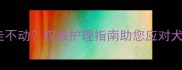 泰迪疫苗后瘫痪走不动权威护理指南助您应对犬瘟热等疫苗反应
