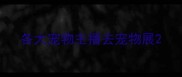 各大宠物主播去宠物展