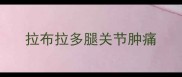 拉布拉多腿关节肿痛
