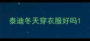 泰迪冬天穿衣服好吗