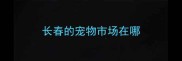 长春的宠物市场在哪