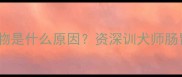 哈士奇拉完屎后舔食排泄物是什么原因资深训犬师肠胃健康与行为背后的真相