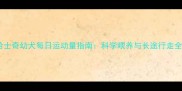 哈士奇幼犬每日运动量指南科学喂养与长途行走全