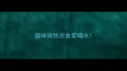 猫咪突然厌食爱喝水