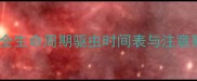 科学驱虫指南吉娃娃全生命周期驱虫时间表与注意事项附用药方案
