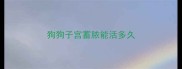 狗狗子宫蓄脓能活多久