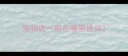宠物店一般在哪里进货