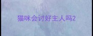 猫咪会讨好主人吗