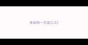 泰迪狗一天遛几次