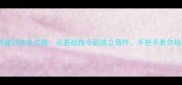 边境牧羊犬取快递训练全攻略从基础指令到独立取件手把手教你培养快递小能手