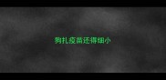狗扎疫苗还得细小