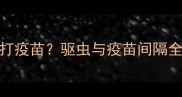猫咪驱虫后多久可以打疫苗驱虫与疫苗间隔全附正确操作流程