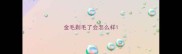 金毛剃毛了会怎么样