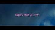 猫咪牙周炎流口水