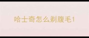 哈士奇怎么剃腹毛