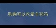 狗狗可以吃晕车药吗