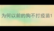 为何以前的狗不打疫苗
