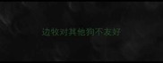边牧对其他狗不友好
