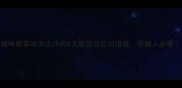 猫咪脚掌冰凉出汗的8大原因及应对措施养猫人必看